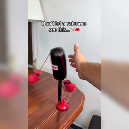 Mini Cat Punching Bag spring rebound demo