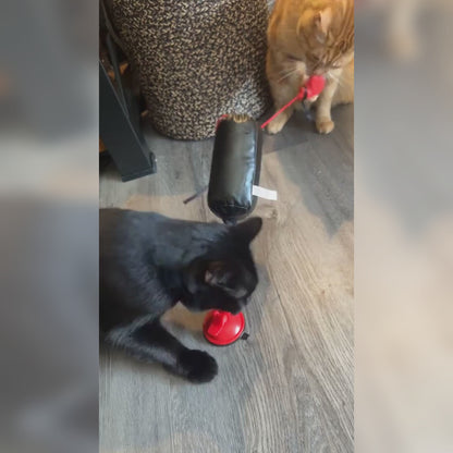 Two cats playing with Mini Cat Punching Bag