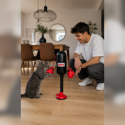 Cat parent setting up Mini Cat Punching Bag