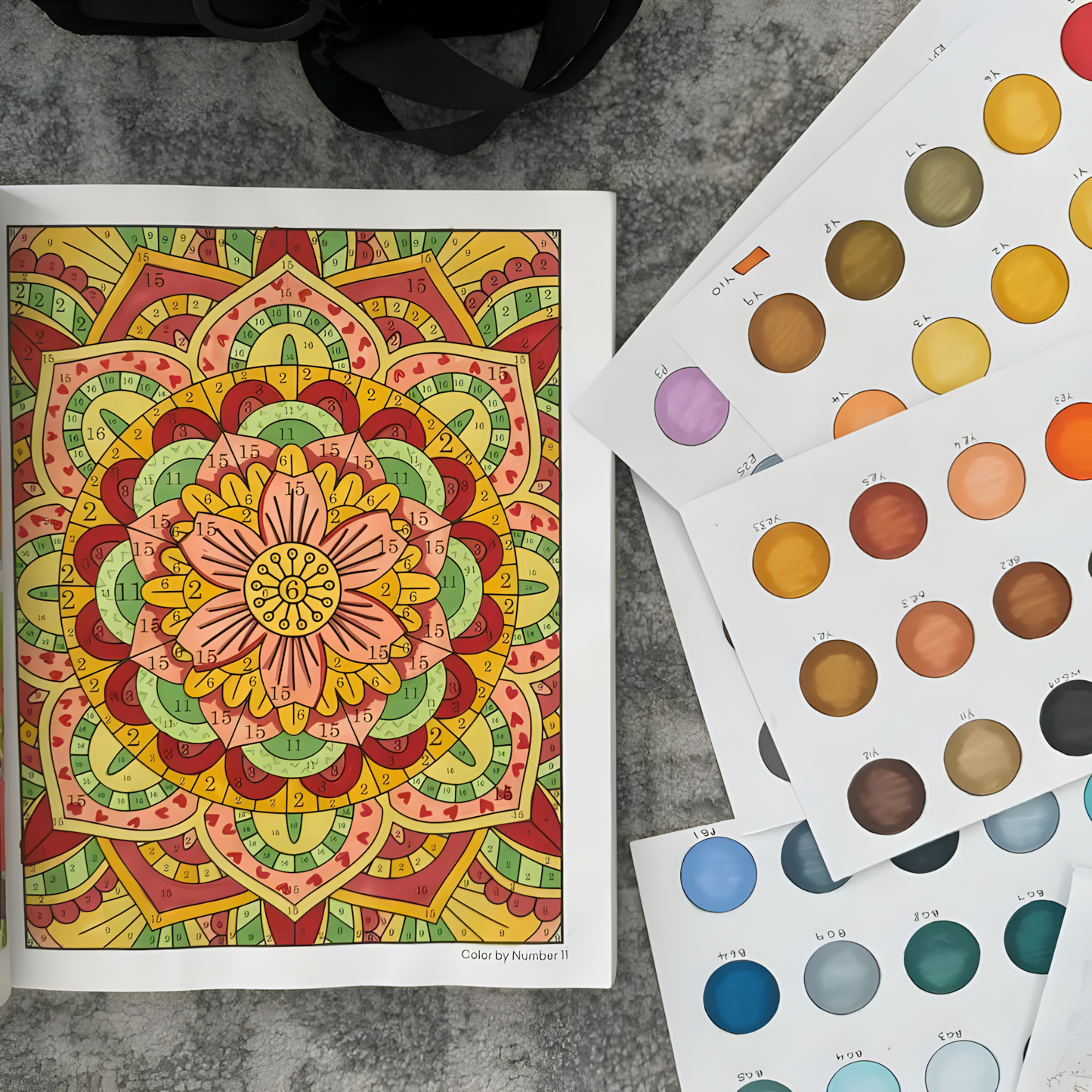Color by Number Book for Adults and Kids