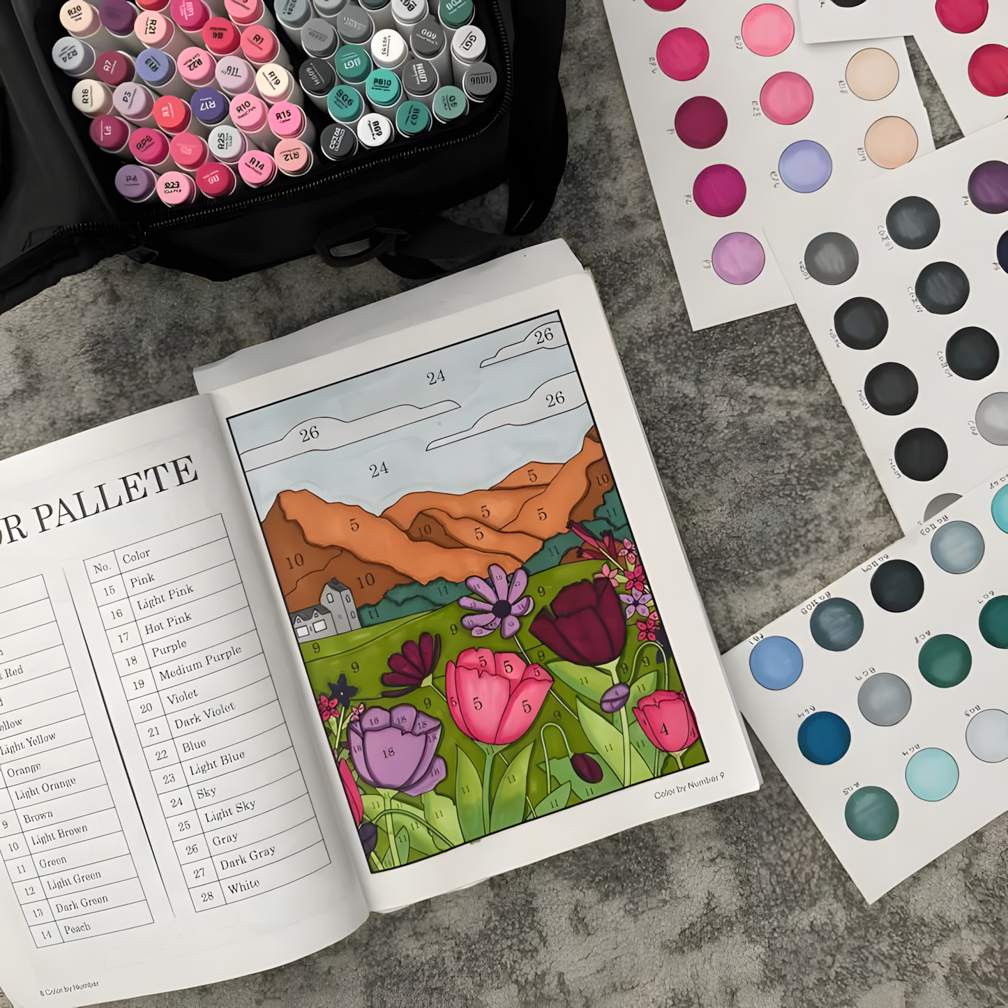 Color by Number Book for Adults and Kids