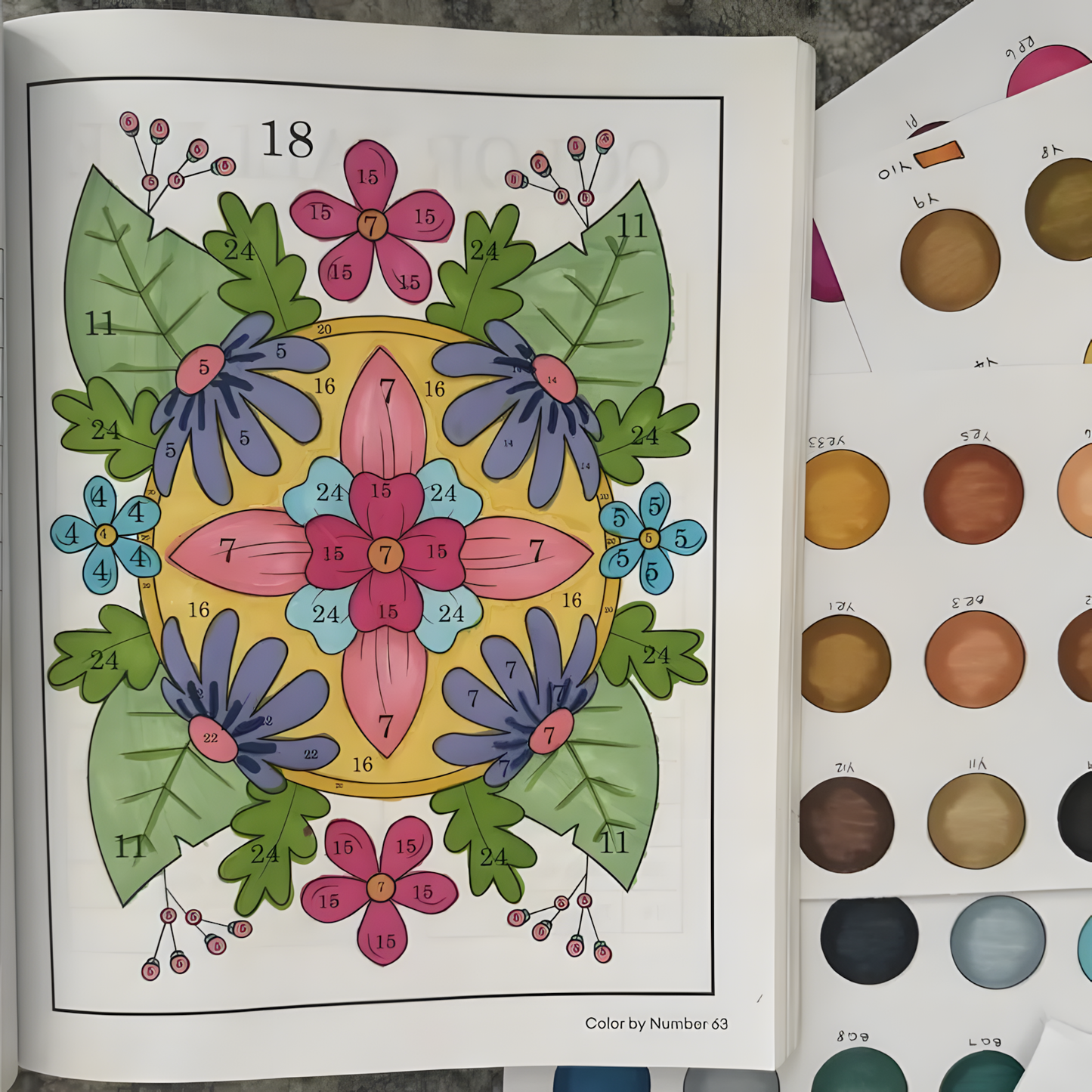 Color by Number Book for Adults and Kids