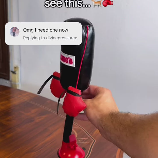 Mini Cat Punching Bag Instagram Reel 3